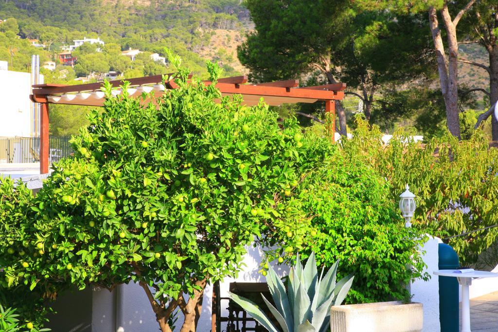 Villa Columbus Family Boutique Hotel Peguera Exteriör bild